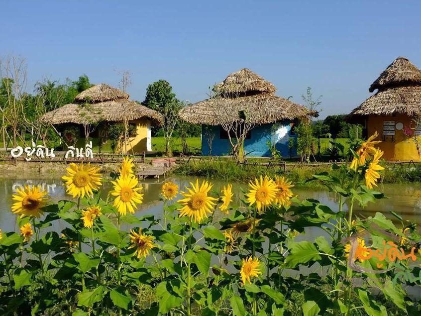 Youdin Kindee Farmstay Mae Rim Esterno foto
